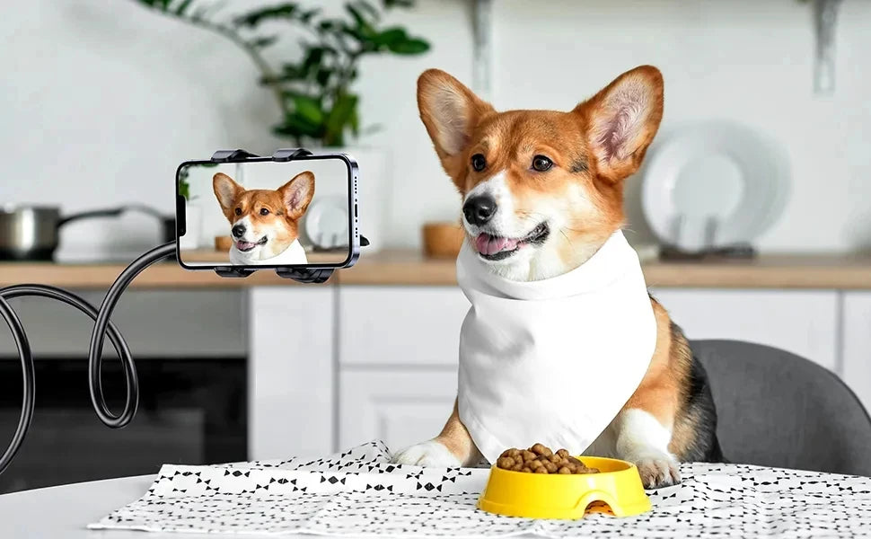 90cm flexible long-arm phone holder with clamp mount, view 7